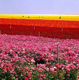 《野兽越野摩托车5》上线Steam 3月17日正式发售