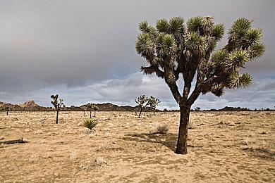 《暗黑2重制版》再升级 视觉效果和游戏体验改进